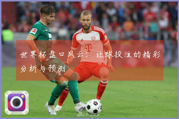世界杯盘口风云：让球投注的精彩分析与预测