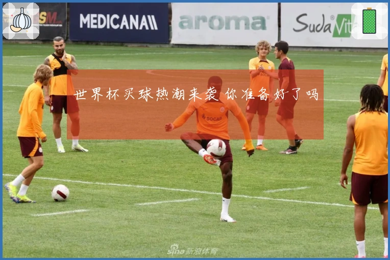 世界杯买球热潮来袭 你准备好了吗