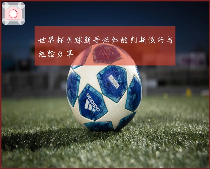 世界杯买球新手必知的判断技巧与经验分享