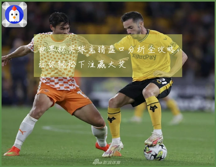 世界杯买球竞猜盘口分析全攻略，让你轻松下注赢大奖