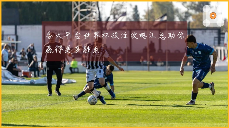 各大平台世界杯投注攻略汇总助你赢得更多胜利