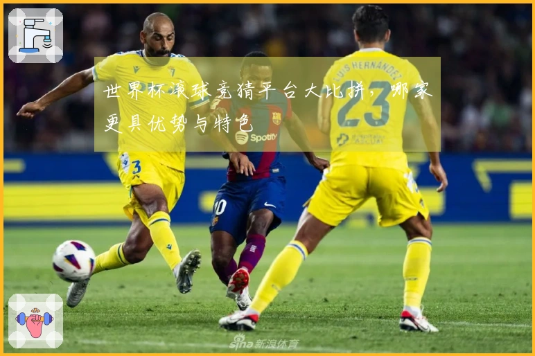 世界杯滚球竞猜平台大比拼，哪家更具优势与特色