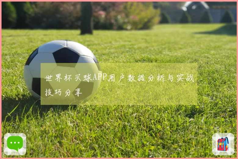 世界杯买球APP用户数据分析与实战技巧分享